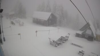 Тростян 4 лютого 2026 року, 2026-02-04 10:00