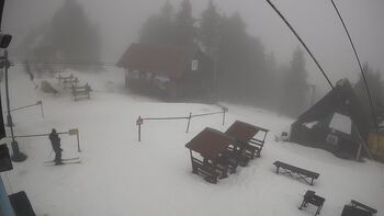 Trostian 6 february 2026 year 10:00