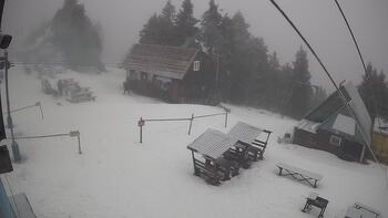 Тростян 8 лютого 2026 року 10:00