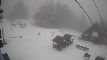 Тростян 13 лютого 2026 року, 2026-02-13 10:00