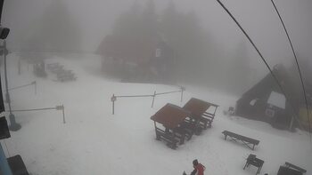 Тростян 14 лютого 2026 року, 2026-02-14 13:00