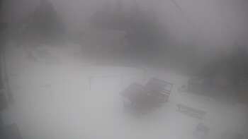 Тростян 15 лютого 2026 року, 2026-02-15 13:00