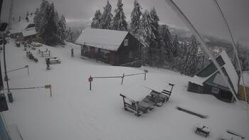 Тростян 25 лютого 2026 року, 2026-02-25 16:00