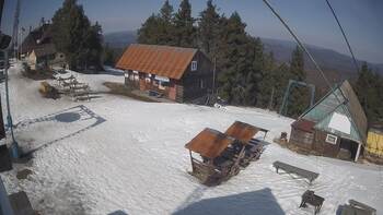 Тростян 10 березня 2026 року 13:00