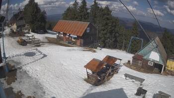 Тростян 13 березня 2026 року, 2026-03-13 13:00