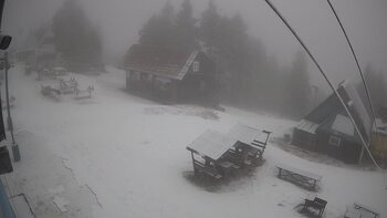 Тростян 21 березня 2026 року, 2026-03-21 10:00