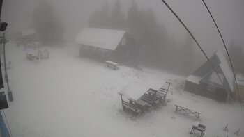 Тростян 1 квітня 2026 року, 2026-04-01 10:00