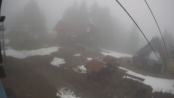 Тростян 2 квітня 2026 року, 2026-04-02 10:00