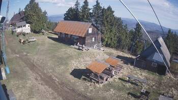 Тростян 22 квітня 2026 року, 2026-04-22 10:00