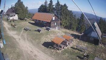 Тростян 29 квітня 2026 року, 2026-04-29 10:00