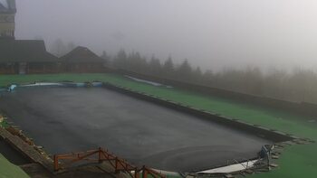Плай 1 грудня 2024 року, 2024-12-01 13:00