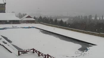 Плай 15 грудня 2024 року, 2024-12-15 13:00