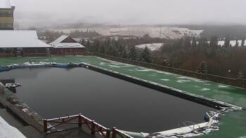 Плай 15 березня 2025 року, 2025-03-15 10:00