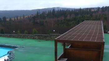 Плай 21 листопада 2025 року, 2025-11-21 13:00