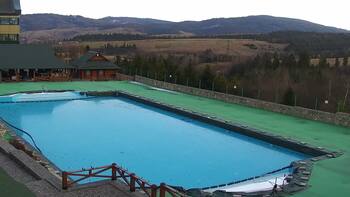 Plai 17 december 2025 year, 2025-12-17 16:00