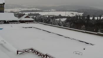 Плай 8 січня 2026 року, 2026-01-08 13:00