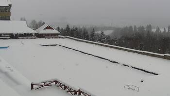 Плай 11 січня 2026 року, 2026-01-11 10:00