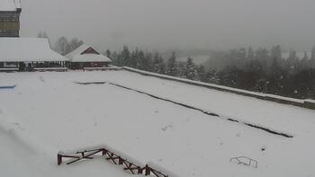 Плай 11 січня 2026 року, 2026-01-11 13:00