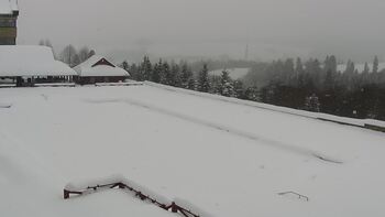 Плай 12 січня 2026 року, 2026-01-12 10:00