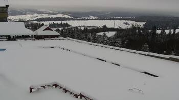 Плай 14 січня 2026 року, 2026-01-14 13:00