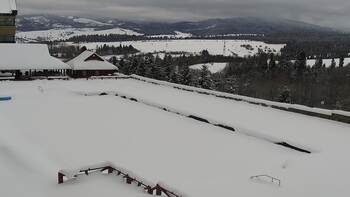 Плай 15 січня 2026 року, 2026-01-15 13:00