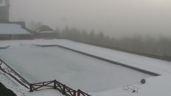 Плай 5 лютого 2026 року, 2026-02-05 10:00