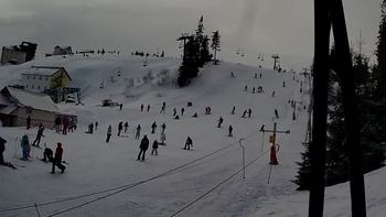 Драгобрат 9 лютого 2021 року, 2021-02-09 13:00