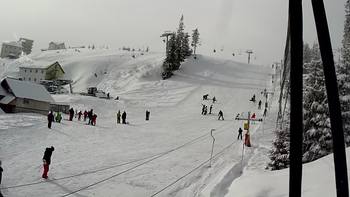 Драгобрат 12 лютого 2021 року, 2021-02-12 10:00