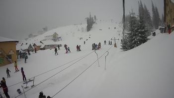 Драгобрат 28 січня 2022 року, 2022-01-28 13:00