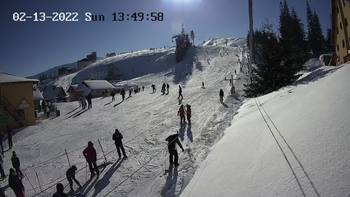 Драгобрат 13 лютого 2022 року, 2022-02-13 13:00