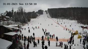 Мигово 31 січня 2021 року, 2021-01-31 13:00