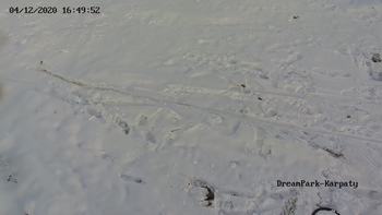 Дрім парк 4 грудня 2020 року, 2020-12-04 10:00