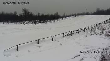 Дрім парк 16 грудня 2021 року, 2021-12-16 13:00