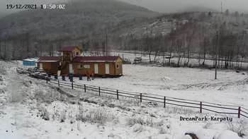 Дрім парк 19 грудня 2021 року, 2021-12-19 10:00