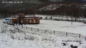 Дрім парк 20 грудня 2021 року, 2021-12-20 13:00