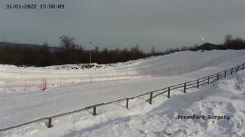 Дрім парк 31 січня 2022 року, 2022-01-31 13:00