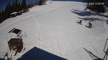 Захар Беркут 21 березня 2024 року, 2024-03-21 13:00