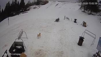 Захар Беркут 2 березня 2026 року, 2026-03-02 13:00