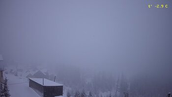 Драгобрат 20 січня 2023 року, 2023-01-20 10:00