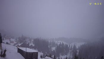 Драгобрат 11 березня 2023 року, 2023-03-11 13:00