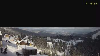Драгобрат 12 січня 2024 року, 2024-01-12 13:00