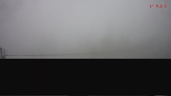 Драгобрат 12 червня 2024 року, 2024-06-12 10:00