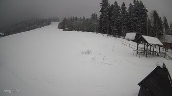 Звенів 12 грудня 2023 року, 2023-12-12 13:00