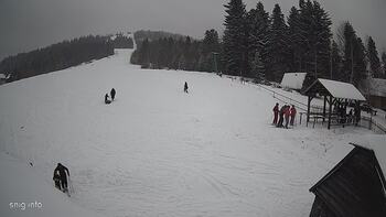 Звенів 13 січня 2024 року, 2024-01-13 13:00