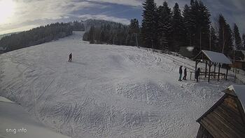 Звенів 17 січня 2024 року, 2024-01-17 13:00