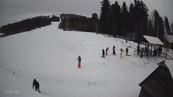 Звенів 23 січня 2024 року, 2024-01-23 13:00