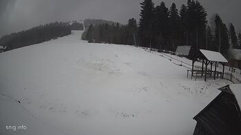Звенів 24 січня 2024 року, 2024-01-24 13:00