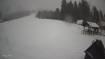 Звенів 25 січня 2024 року, 2024-01-25 13:00