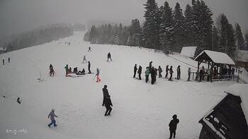 Звенів 27 січня 2024 року, 2024-01-27 13:00