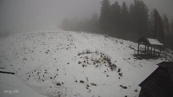 Звенів 27 листопада 2024 року, 2024-11-27 10:00